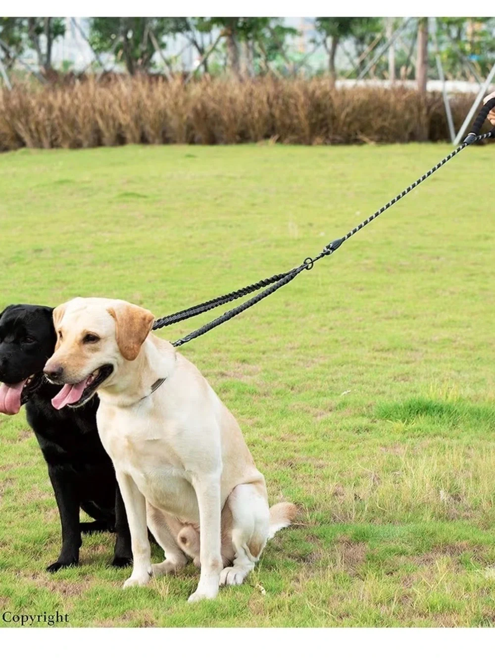 Black Dual Dog Leash - Large